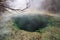 Hot springs at Turangi in New Zealand