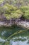 Hot springs at Turangi in New Zealand