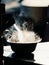 Hot steam of a congee bowl in cold weather