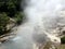 Hot steam from hydrogen sulphide springs in the town of Furnas on the island of San Miguel.