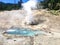 Hot, steamy geysers at a national park