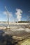 Hot Stream and petrified trees, Fountain Paint Pot Yellowstone National Park.