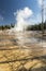 Hot Stream and petrified trees, Fountain Paint Pot Yellowstone National Park.