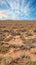 A hot summer day in a dry highland savanna in south Africa with a cloudy sky copyspace. An empty landscape with green