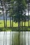 Hot sunny day in June. Summer. Tall trees reflected in the water of the pond