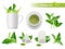 Hot tea realistic. Green leaves cups water splashes aromatic green tea tags vector advertizing set