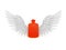 Hot water bottle with angel wings