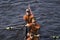 HOTC - Texas Mens Rowing Team