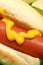 Hotdog with Mustard