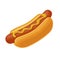 Hotdog. Vector isolated flat illustration for poster menus brochure web and icon
