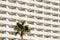 Hotel building facade pattern and  palm tree