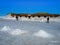 Hotel built of salt bricks on Salar de Uyuni