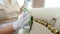 Hotel cleaning. Soft furniture surface and buttons being cleaned by female hands with wipe. Close-up view of woman