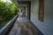 hotel corridor / doorway with green plant beside