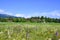 Hotel and Resort Sonnenalp, Allgau, Bavaria, Germany, with blooming meadow with wild flowers in foreground