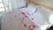 Hotel room with rose petals in bed