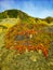 Hottentot Fig - Alien plants infesting English cliff face