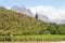 Hottentots-Holland Mountains towering above vineyards