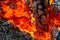 The hottest background. A fire blaze, heat and burning wood close-up