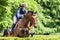 Houghton international horse trials Emily Rucker riding Cesano H