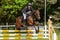 Houghton international horse trials May 2017