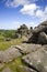 Hound Tor, Dartmoor, Devon