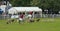 Hounds chasing around arena at Royal Bath and West show 2014