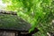 Hounen-in Temple of fresh verdure, Kyoto, Japan