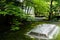 Hounen-in Temple of fresh verdure, Kyoto, Japan