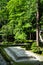 Hounen-in Temple of fresh verdure, Kyoto, Japan