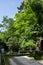 Hounen-in Temple of fresh verdure, Kyoto, Japan