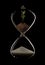 Hourglass in a dark studio with rim lighting and plant growing i