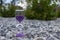 Hourglass on stones in a public park amid bushes