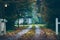 House in autumn forest with driveway at dusk.