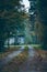 House in autumn forest with driveway at dusk.