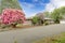 House with beautiful blooming trees