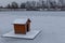 house and bird feeder on ice-covered water