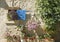 House, blue shutter. Provence.