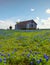 A House in Bluebonnet flowers, Ennis