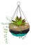 House botany. Cute green decoration. Floral terrarium