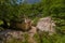 House and bridge to popular tourist attraction in Valbona valley, Albania, a Mulliri i Vjeter old mill house. Bridge leading to