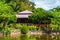 House built on stilts in the lush green tropical forest.