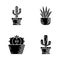 House cactus in pot glyph icons set