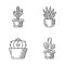 House cactus in pot linear icons set