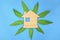 House cardboard cutout with fresh green leaves growing. Sustainable and green living concept.