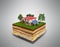 House on a clutch of land Concept of ecologically clean house 3d render on grey