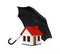 House Covered by Umbrella