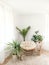 House with cozy boho ethnic interior with plants