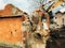 House crushing and collapse. Excavator destroying brick house on land in countryside. Bulldozer clearing land from old bricks and