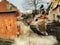 House crushing and collapse. Excavator destroying brick house on land in countryside. Bulldozer clearing land from old bricks and